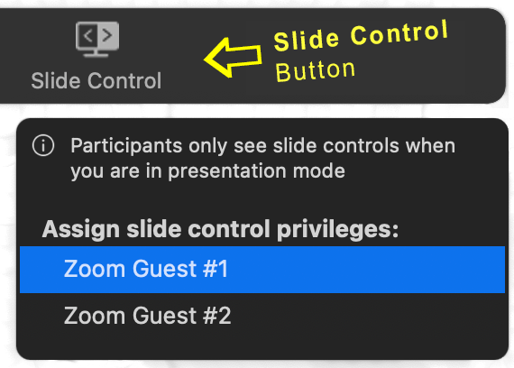 Zoom Slide Control 2.png